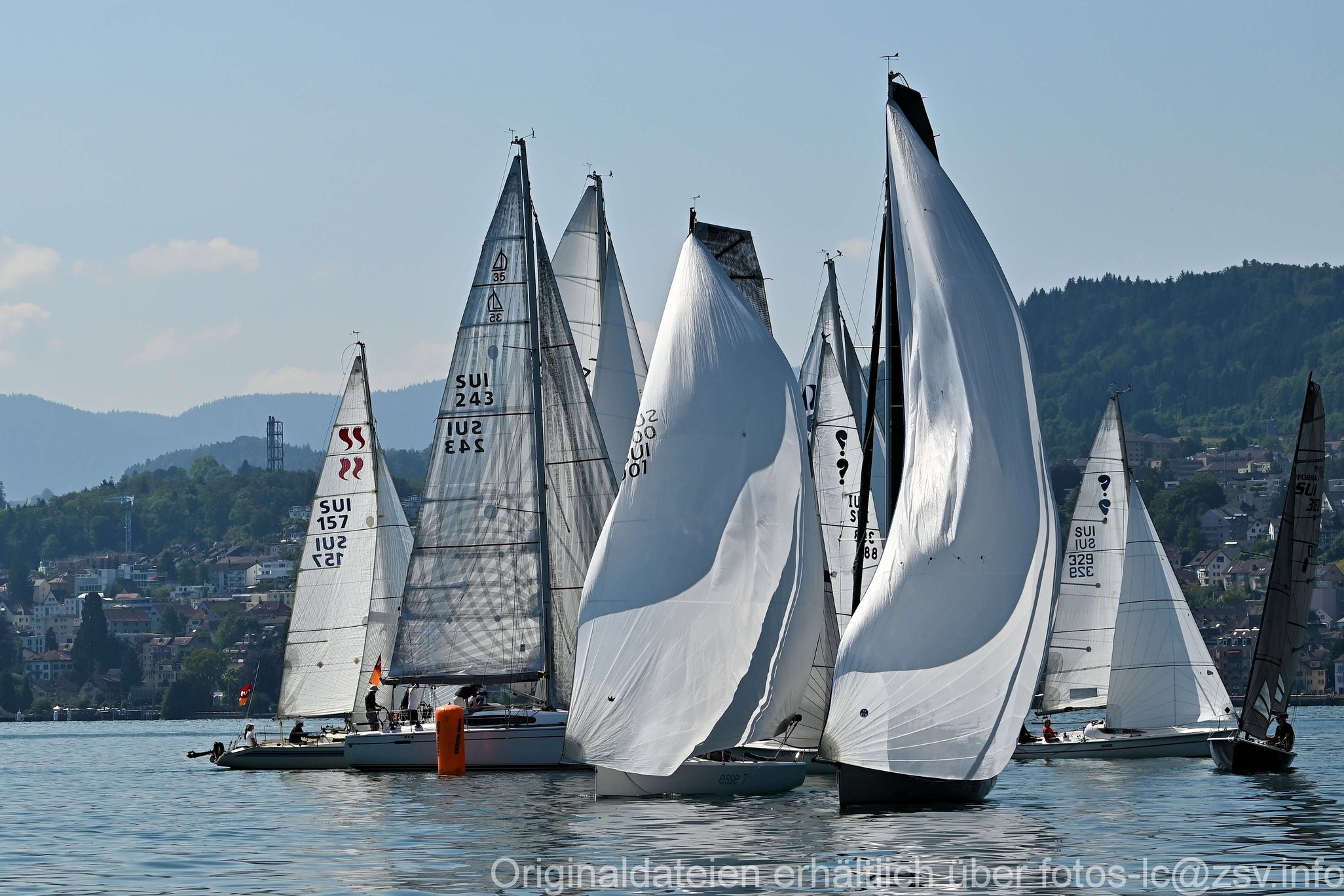 2023 6 24 Zimmerberg-05.jpg