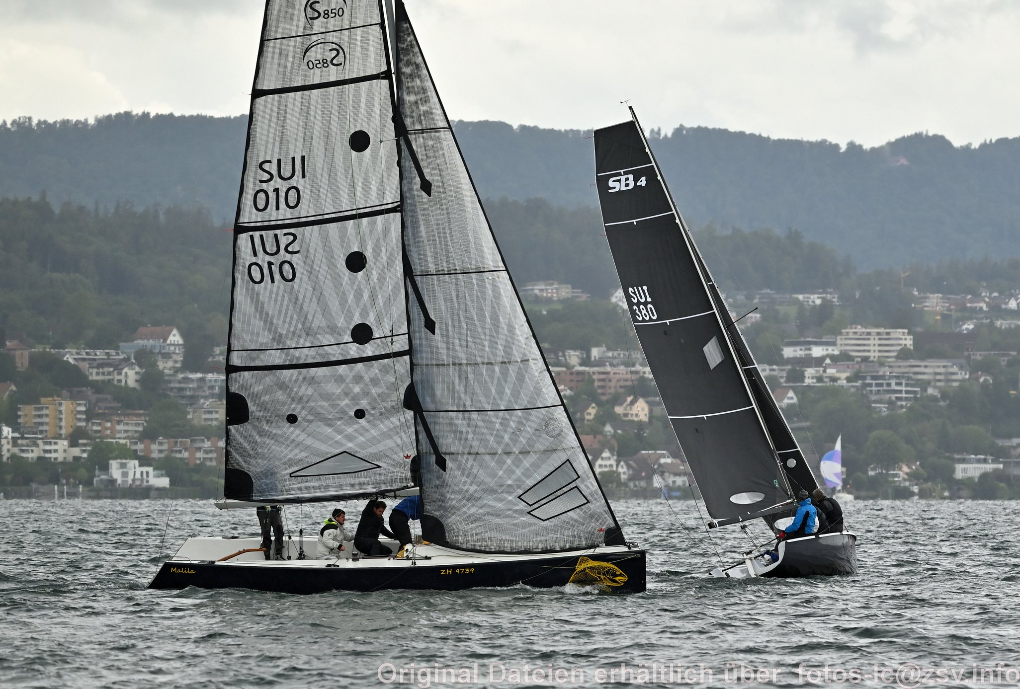 2024 09 14 Zürich Horgen Zürich-173.jpg