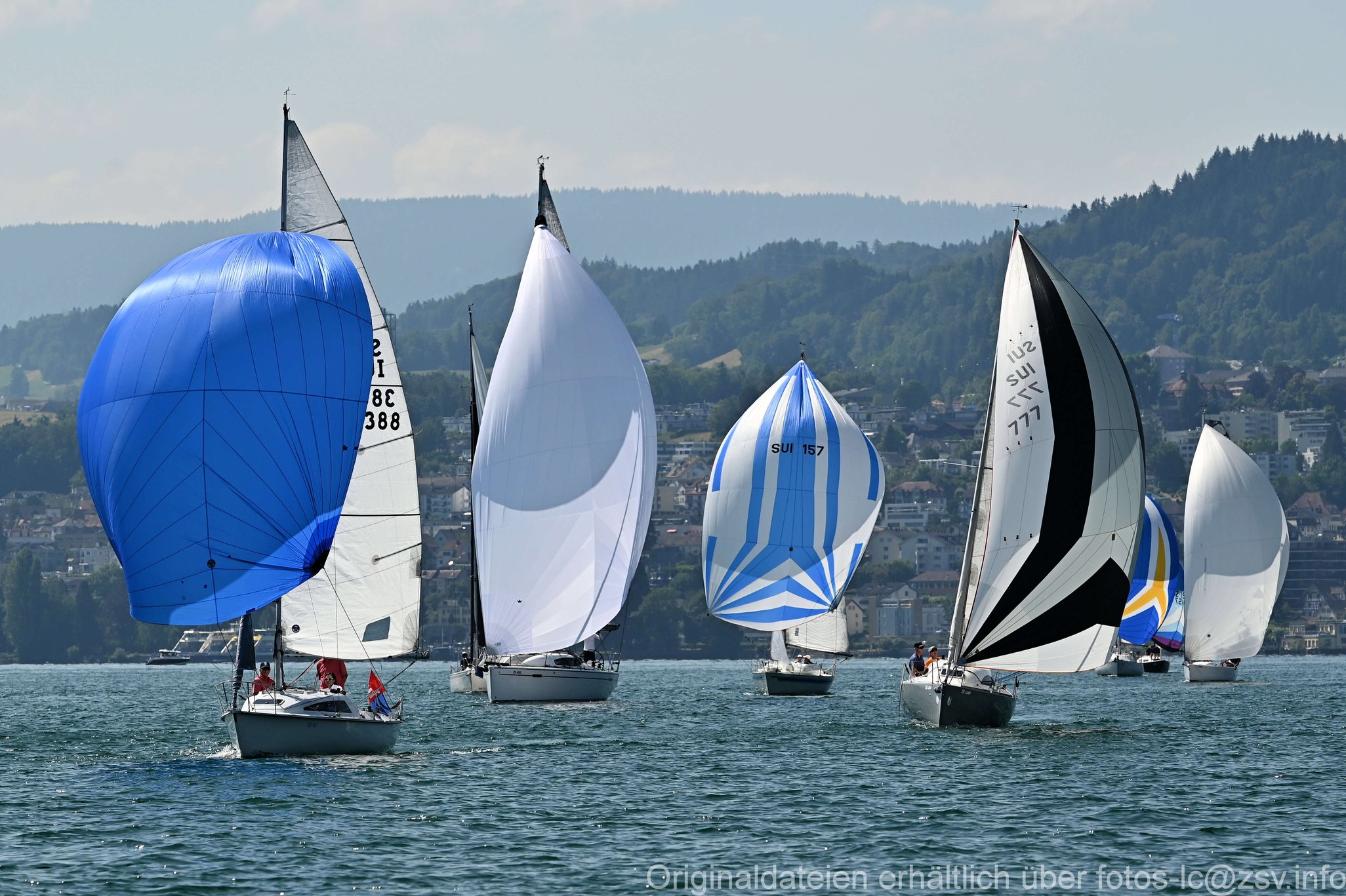 2023 6 24 Zimmerberg-19.jpg