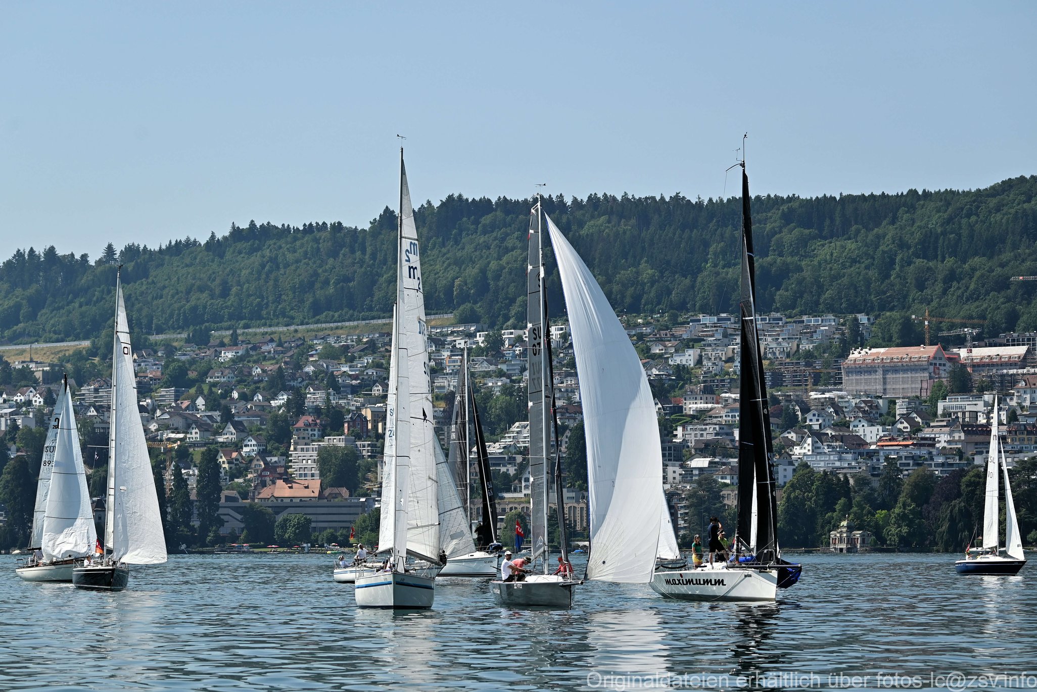 2023 6 24 Zimmerberg-07.jpg