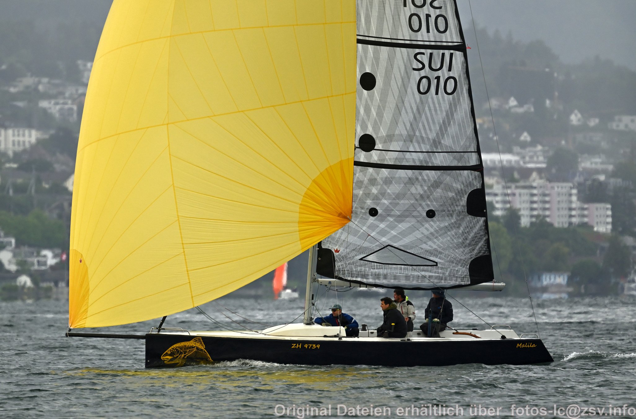 2024 09 14 Zürich Horgen Zürich-154.jpg