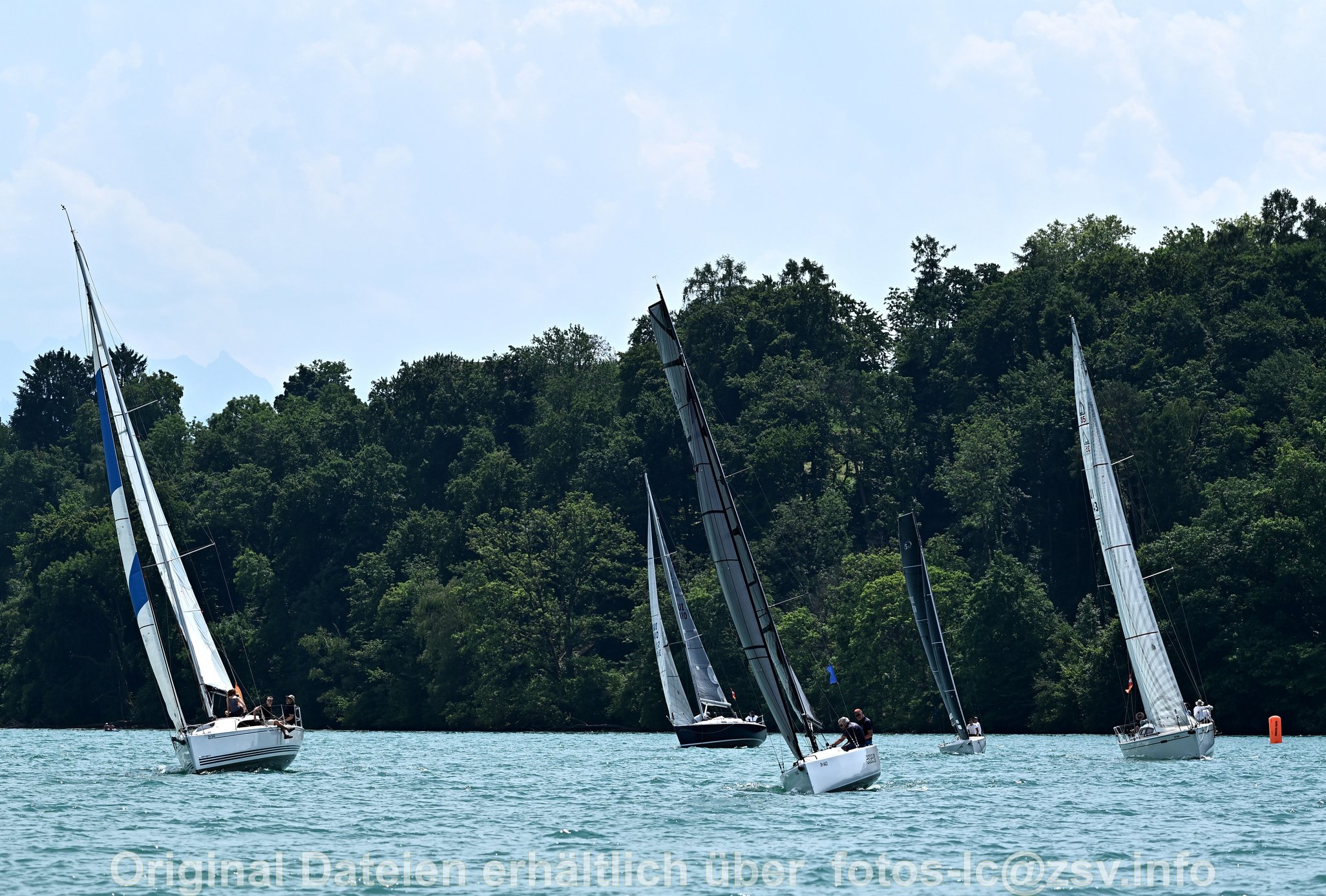 2025 06 21 Zimmerberg-187.jpg