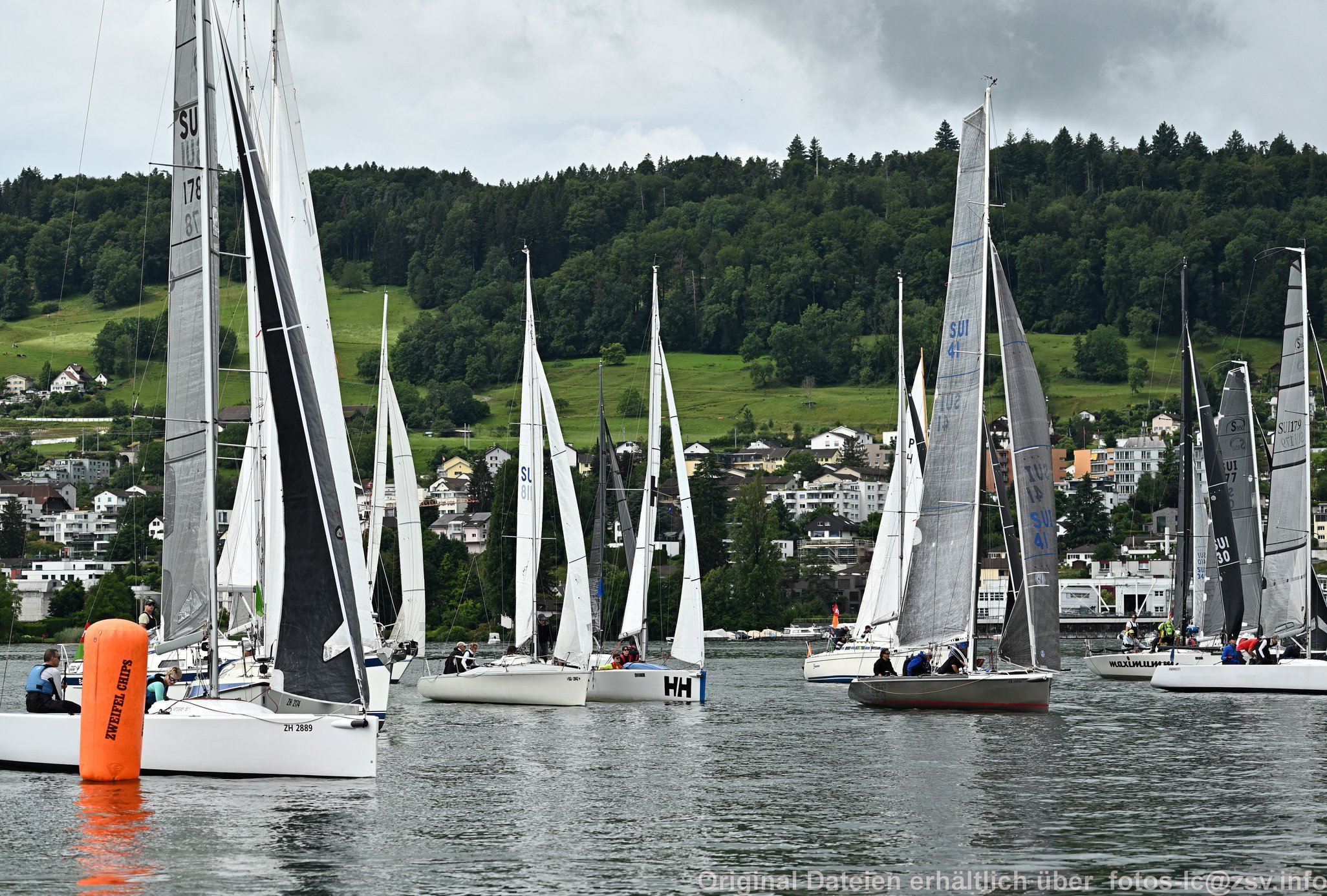 2024 06 22 Zimmerberg -03.jpg