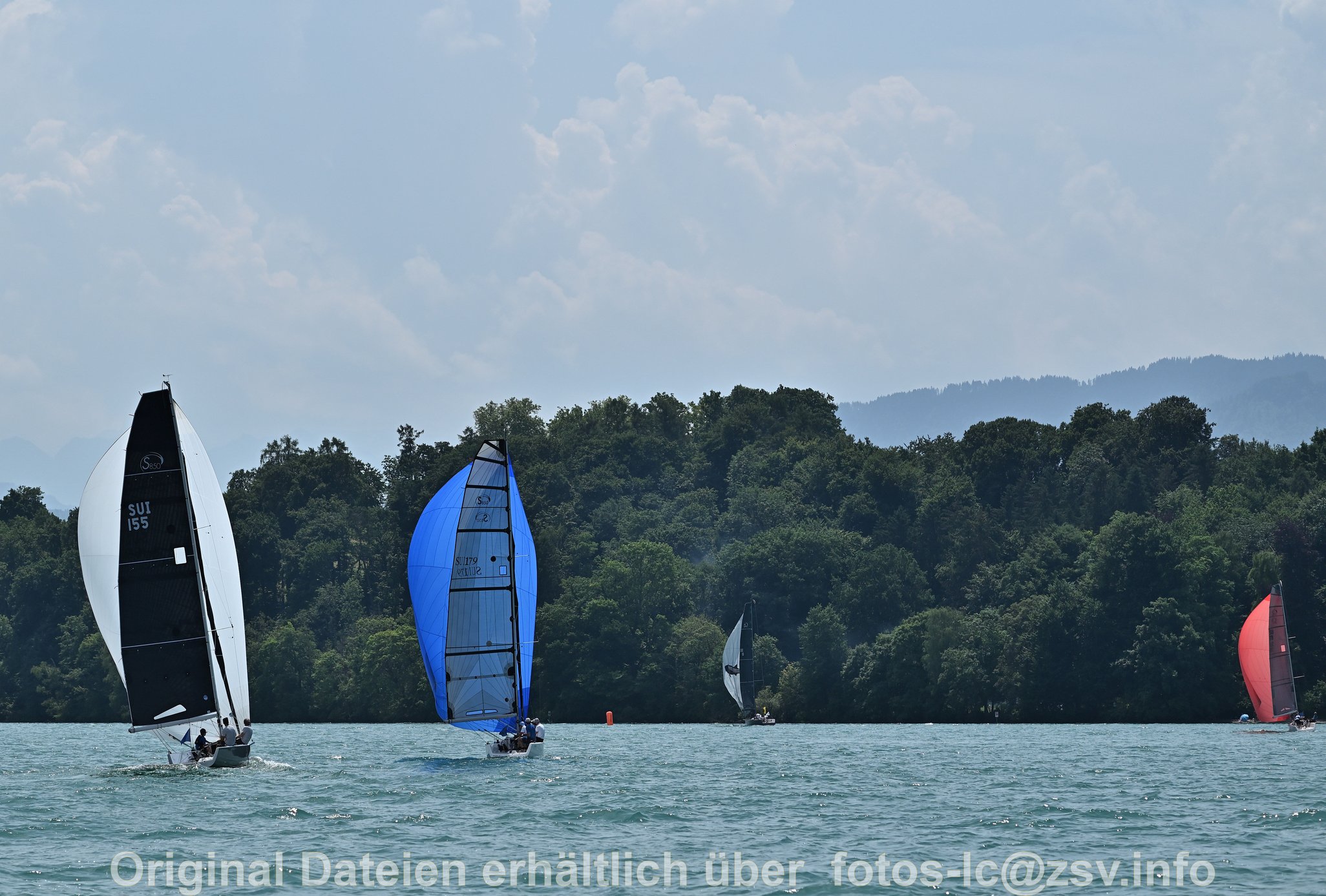 2025 06 21 Zimmerberg-165.jpg