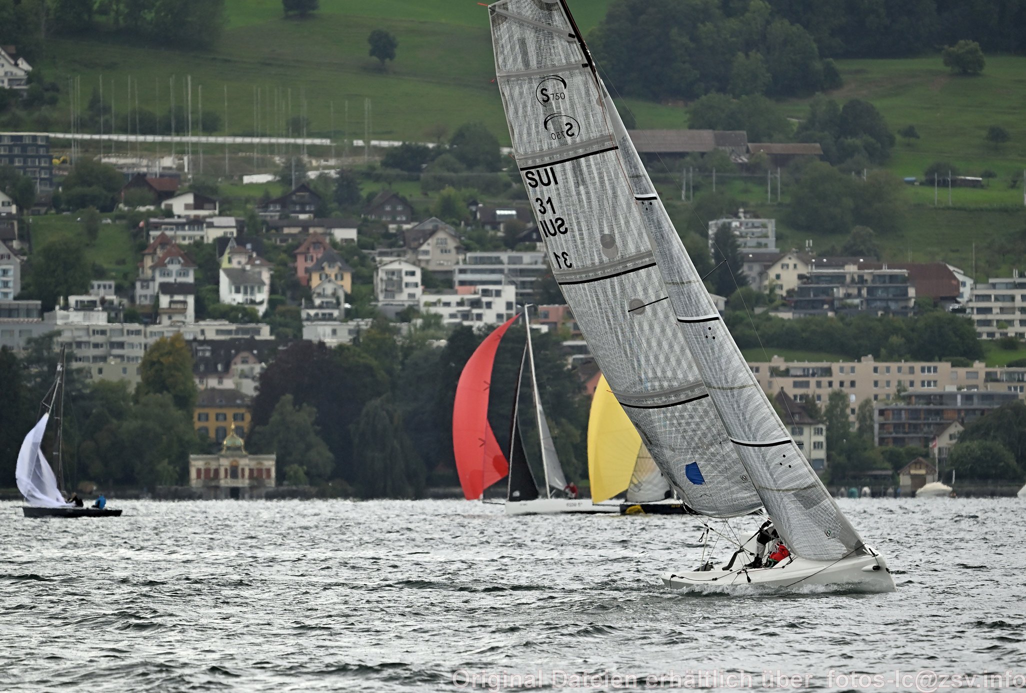 2024 09 14 Zürich Horgen Zürich-164.jpg