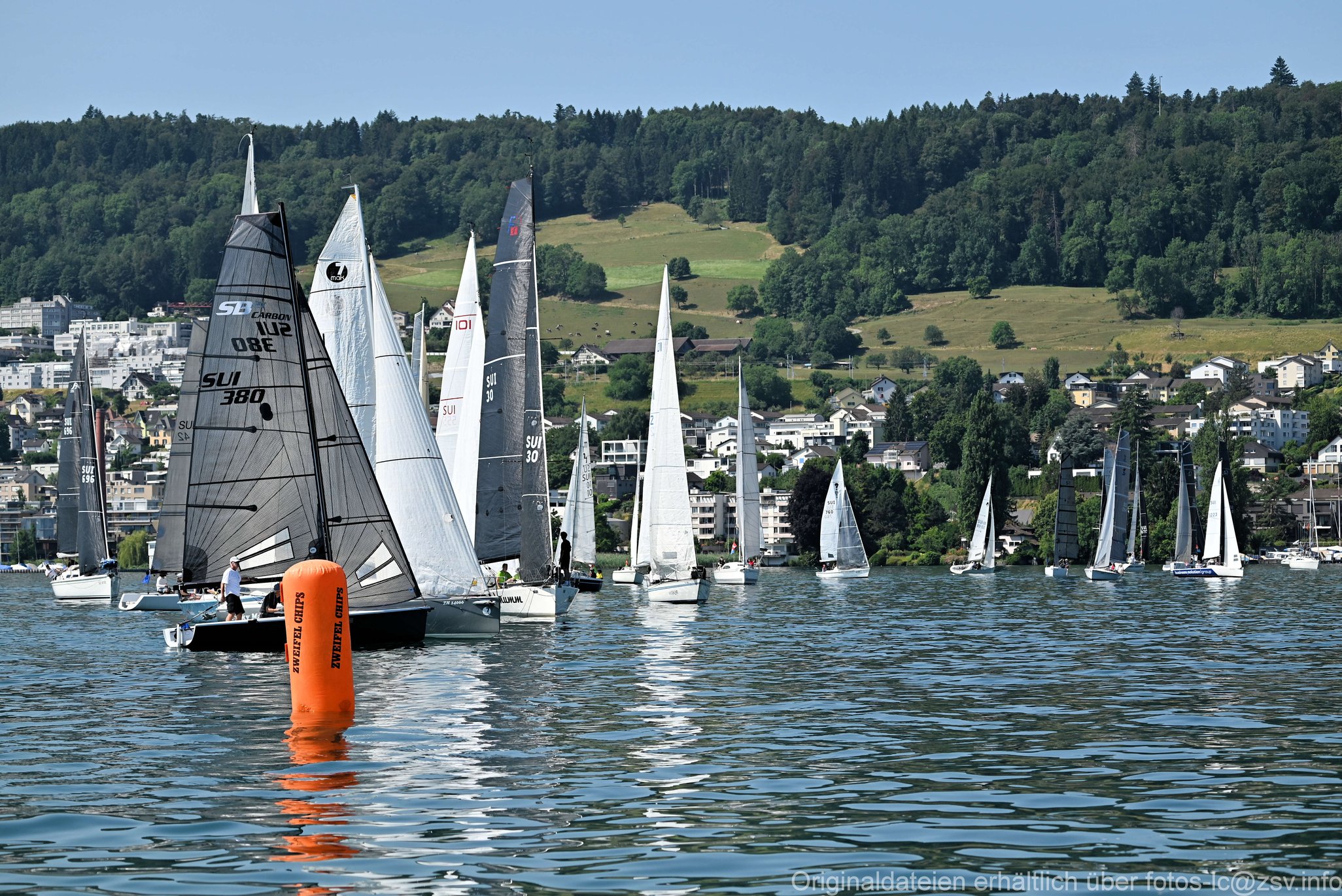 2023 6 24 Zimmerberg-01.jpg