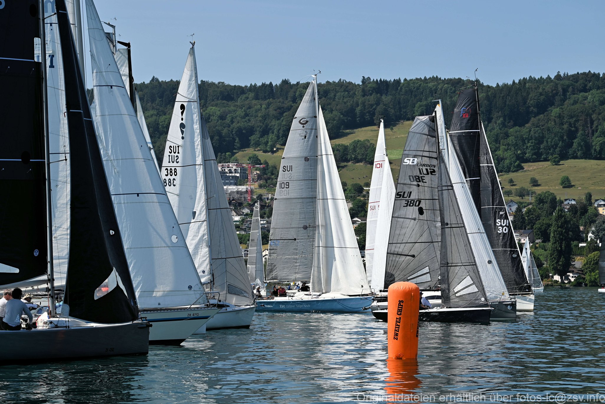 2023 6 24 Zimmerberg-02.jpg