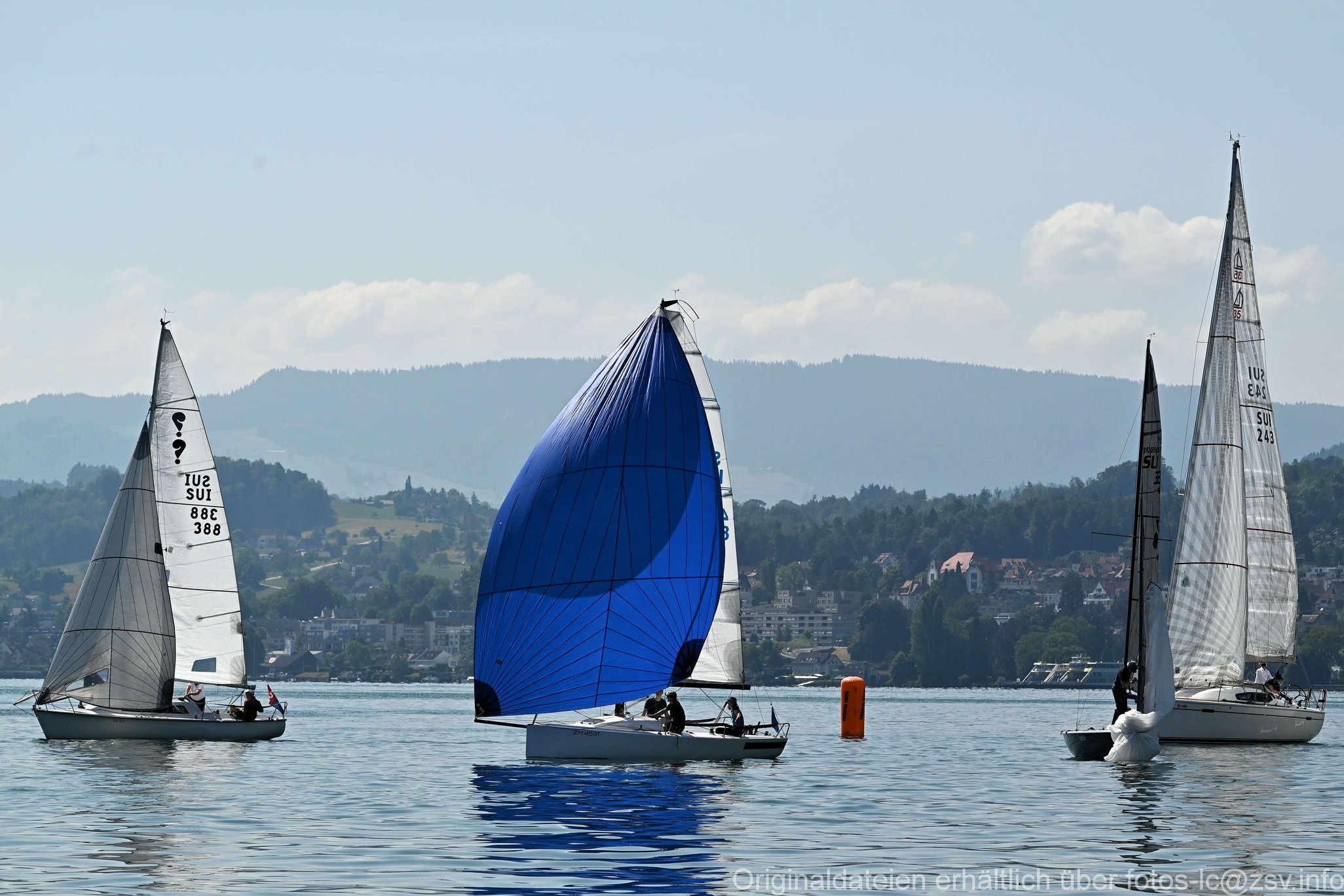 2023 6 24 Zimmerberg-08.jpg