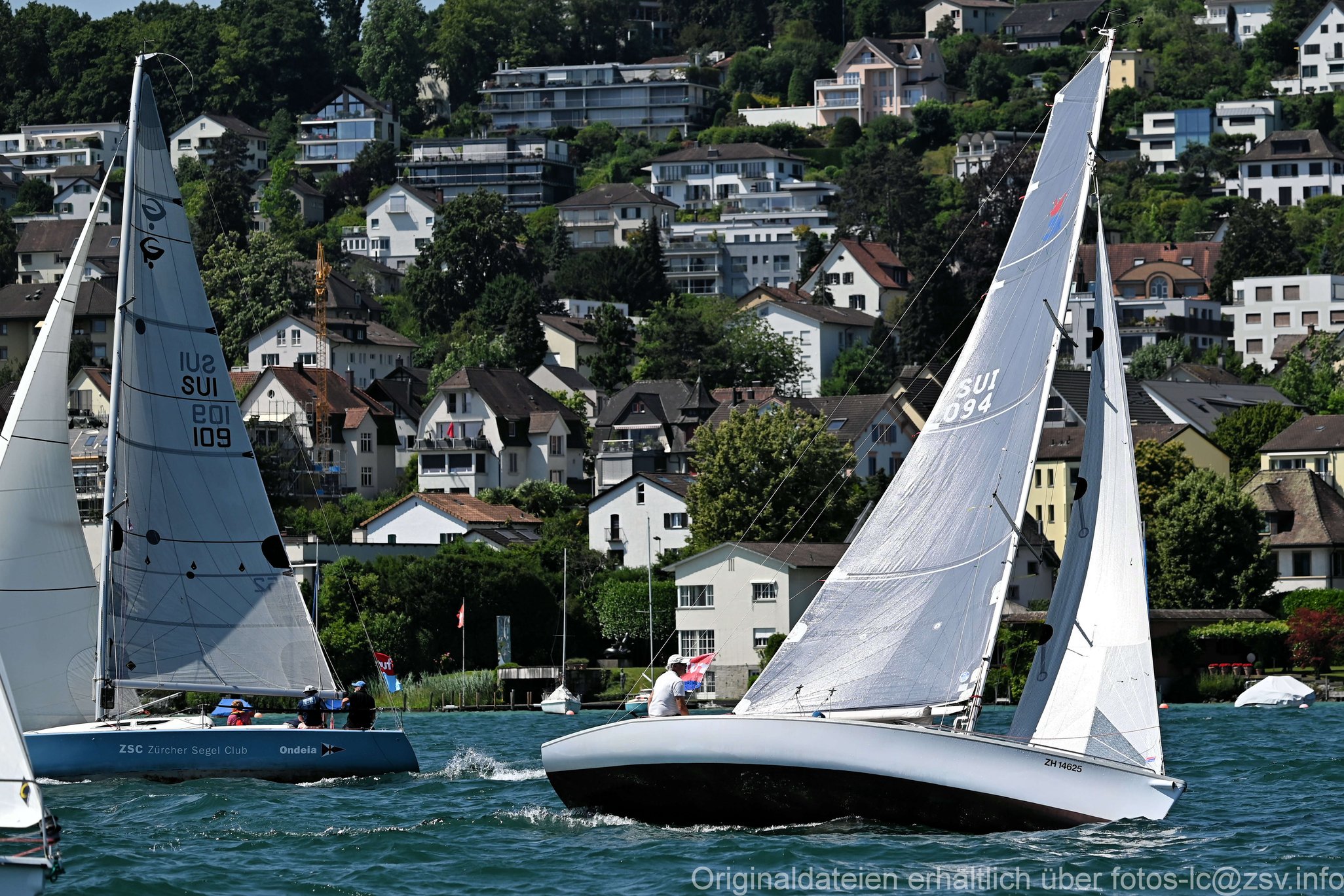 2023 6 24 Zimmerberg-77.jpg