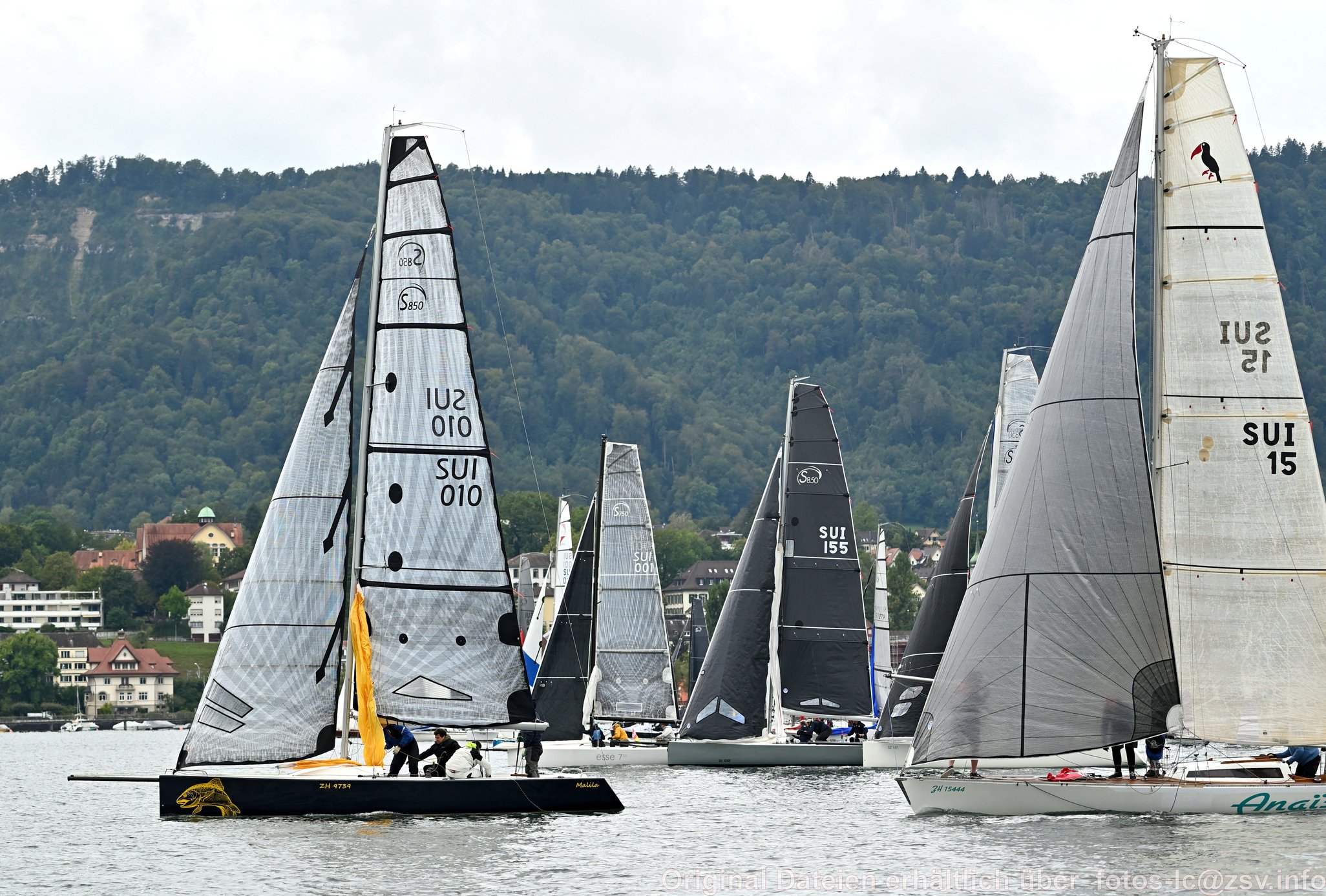 2024 09 14 Zürich Horgen Zürich-110.jpg