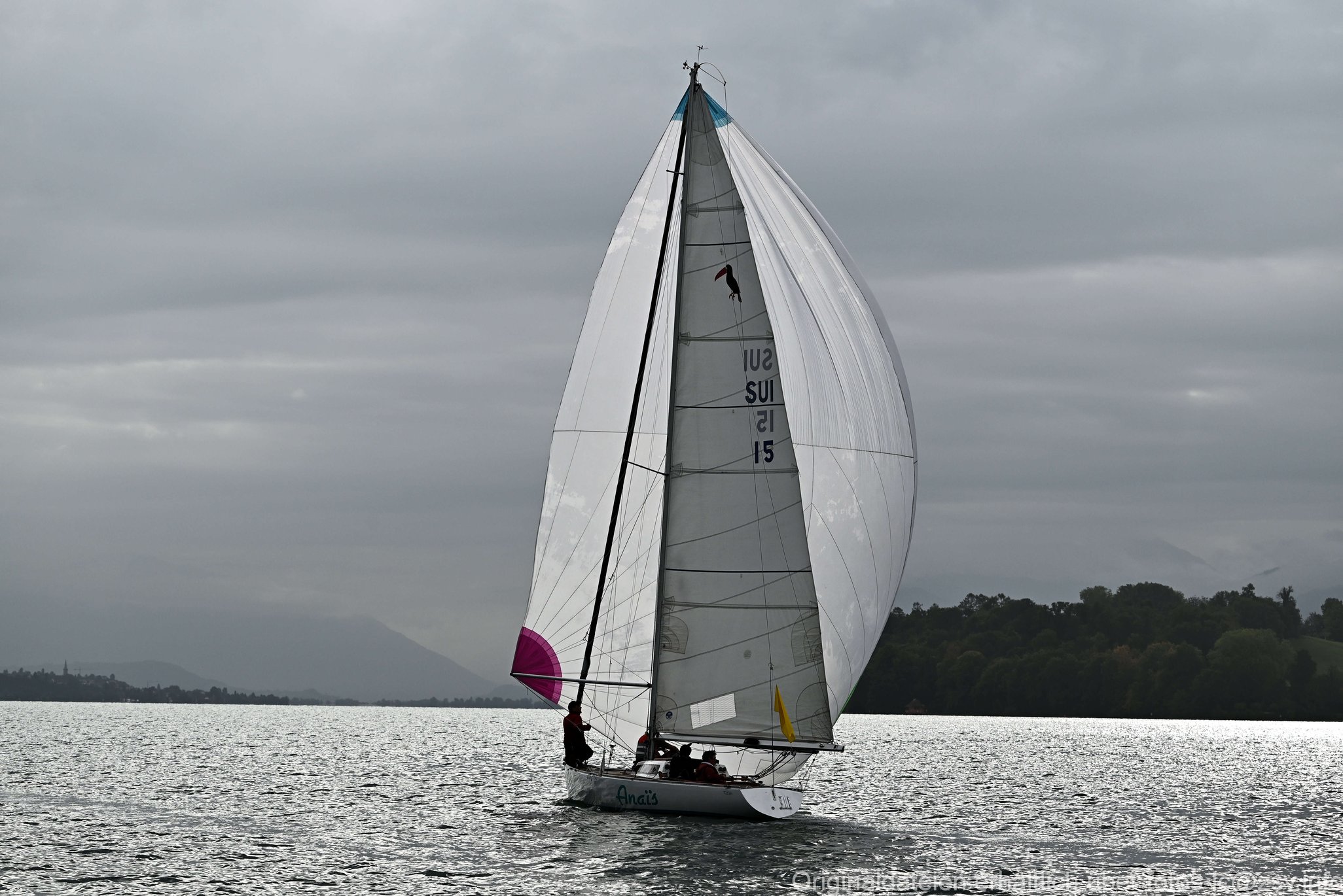 2023 09 30 Kreuzer Horgen-11.jpg