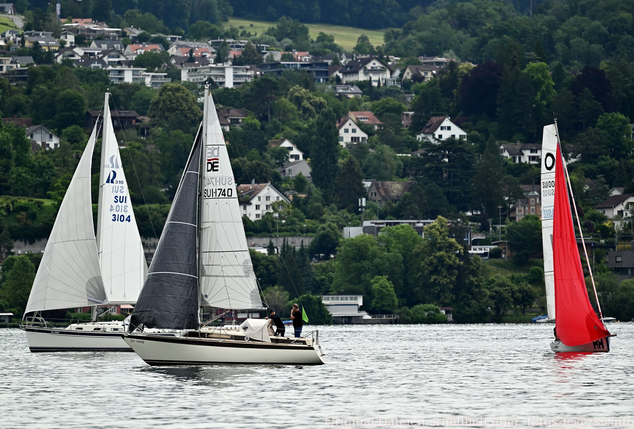 2024 06 22 Zimmerberg -38.jpg