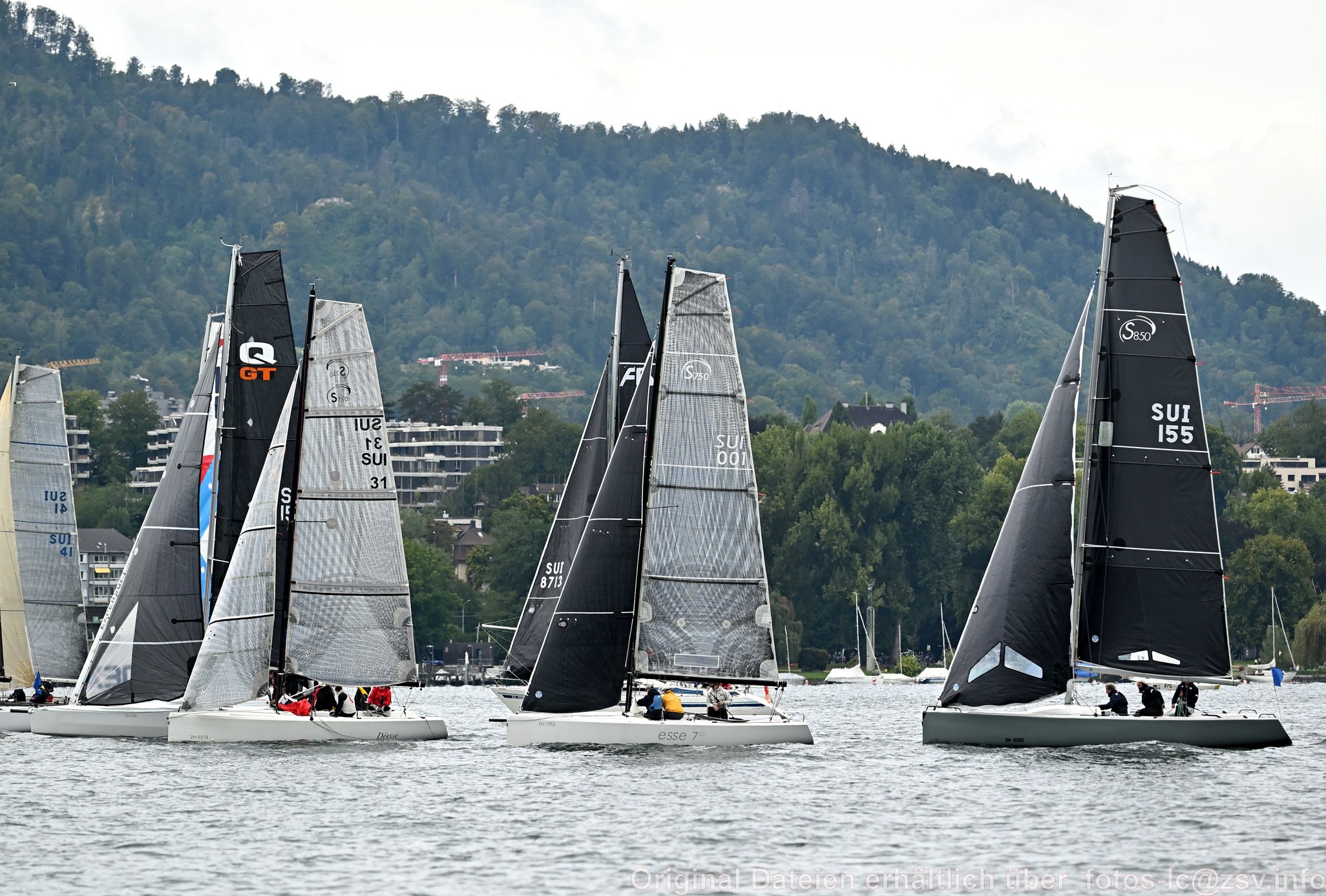 2024 09 14 Zürich Horgen Zürich-108.jpg