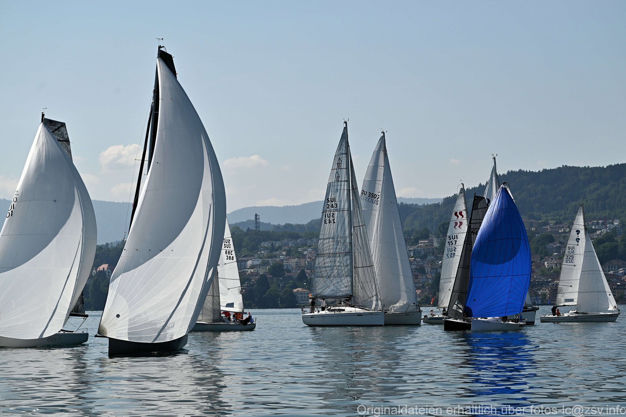 2023 6 24 Zimmerberg-06.jpg