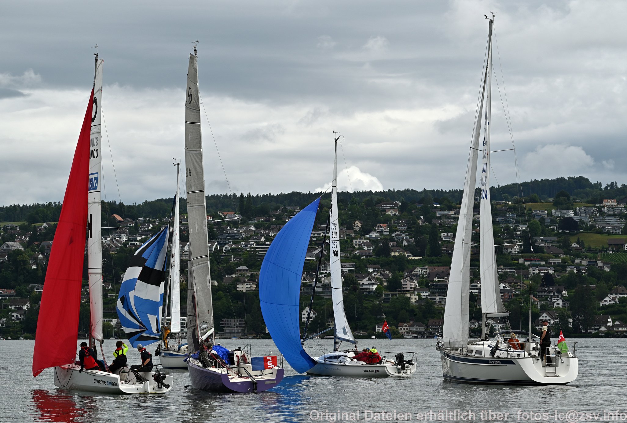 2024 06 22 Zimmerberg -25.jpg